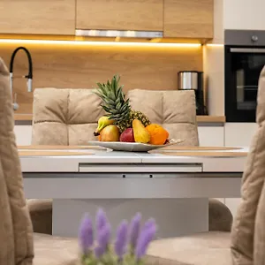 https://villa-beganovic.primorje-gorskikotar.com
